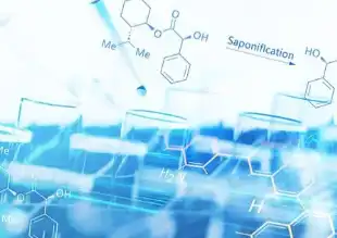 从哈弗到魏牌，赵永坡：压力变动力，进入新舒适区