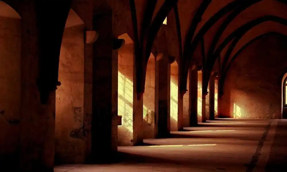 英国禁煮活龙虾引争议：人道处理成本高，餐饮业民众齐声反对