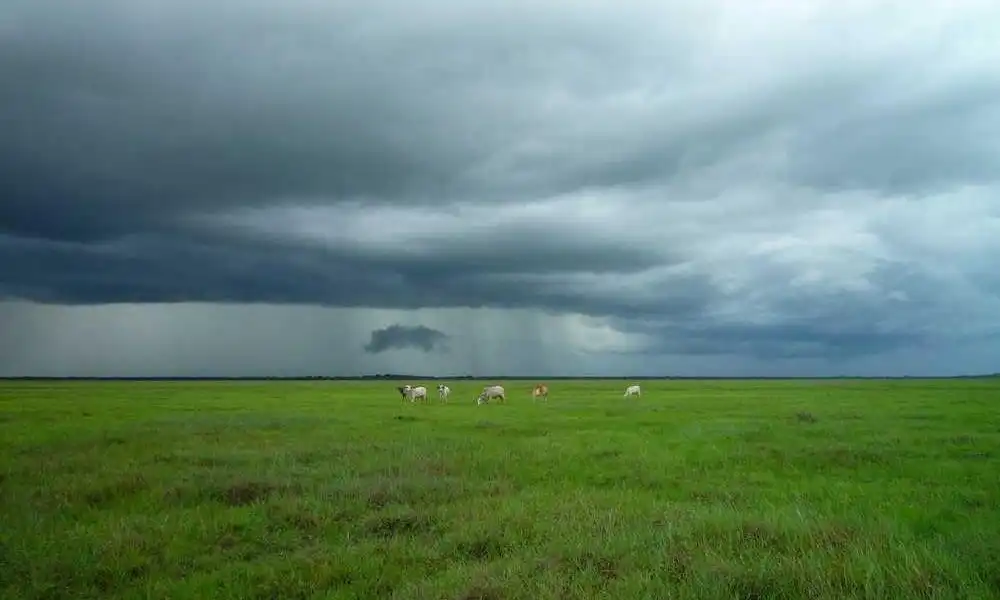 茉酸奶创始人跨界火锅？赵伯华再掀餐饮新风暴