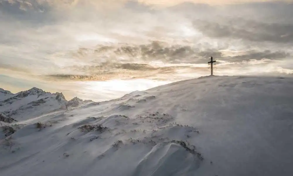 银发族新宠：两种轻松游方式，吃喝玩乐全包揽