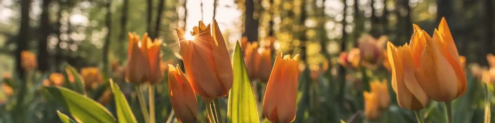 上海首秀！Pierre Péters 单一园晚除渣时间切片实验：同一风土，十年陈酿的终极风味对决