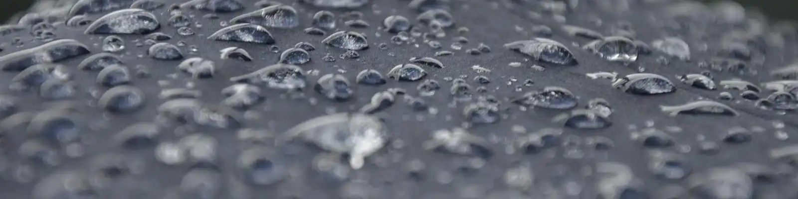 英国禁煮活龙虾引争议：人道处理成本高，餐饮业民众齐声反对