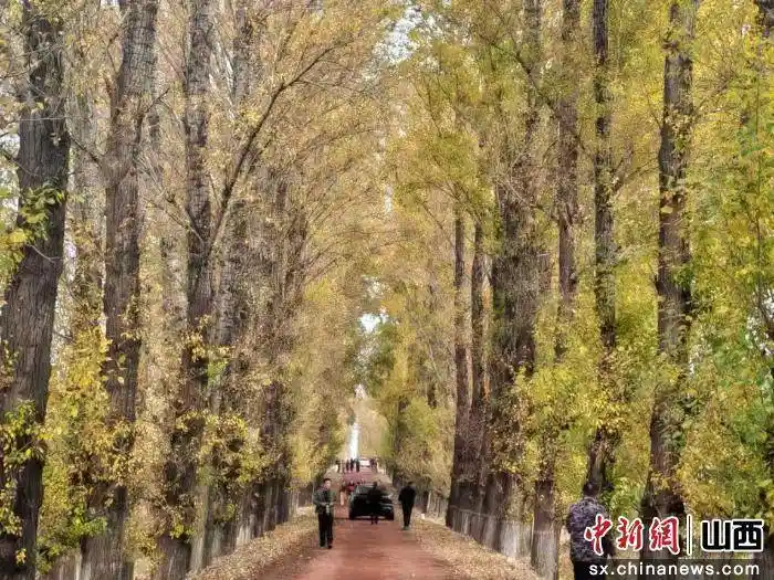 秋色漫长城 左云古道引客醉