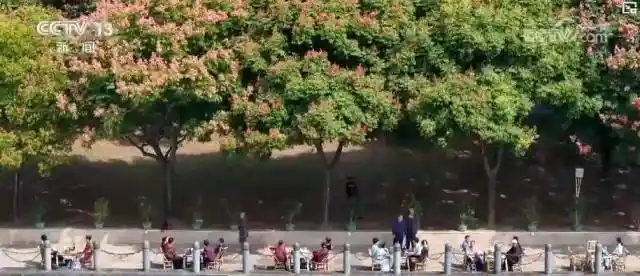 银发专列开进秋日画卷，城市赏秋经济燃动文旅新热潮