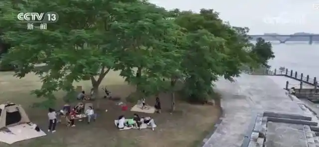 银发专列开进秋日画卷，城市赏秋经济燃动文旅新热潮