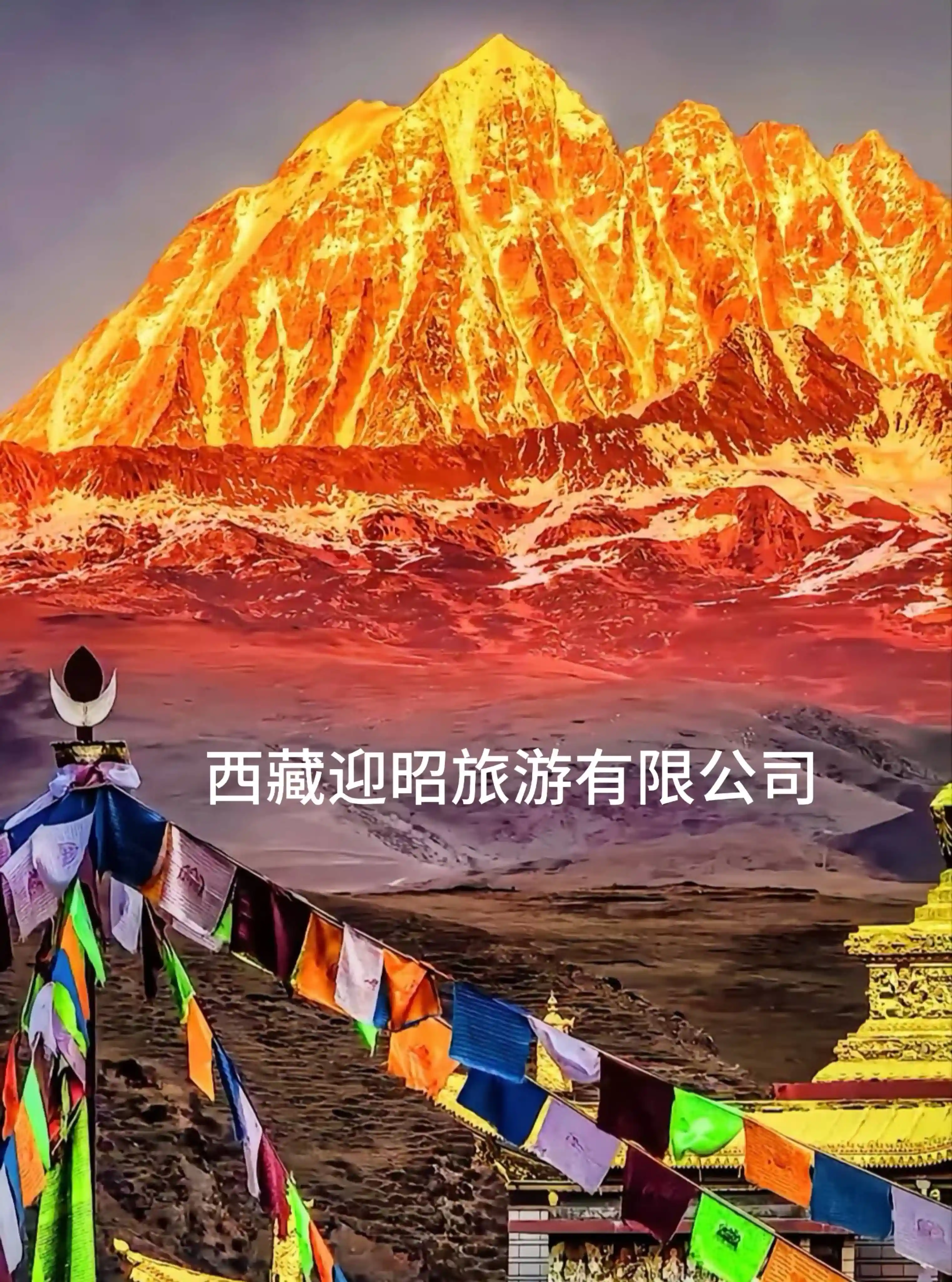 拉萨藏式火锅新玩法：探秘布达拉宫旁的排队王与本地人私藏菜单