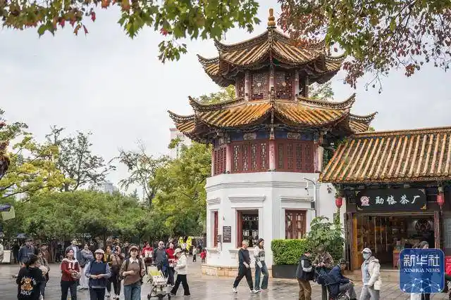 初冬春城迎客来：翠湖公园游客如织