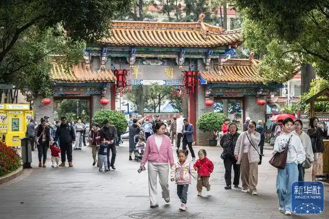 初冬春城迎客来：翠湖公园游客如织