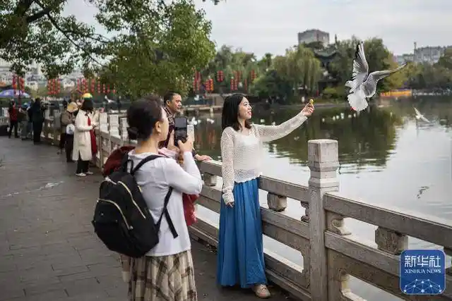 初冬春城惊艳亮相：翠湖公园游客如潮，王冠森镜头下的昆明之美