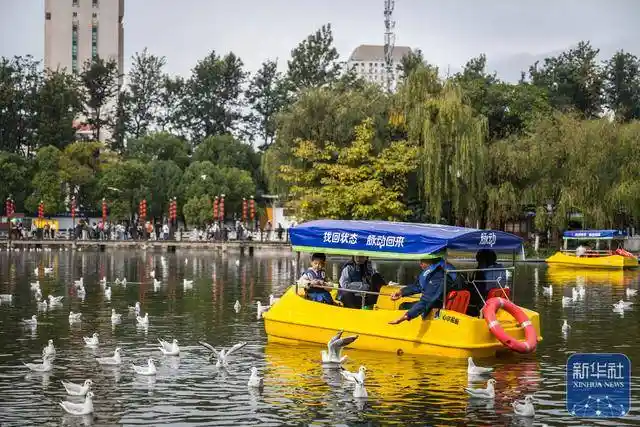 初冬春城惊艳亮相：翠湖公园游客如潮，王冠森镜头下的昆明之美