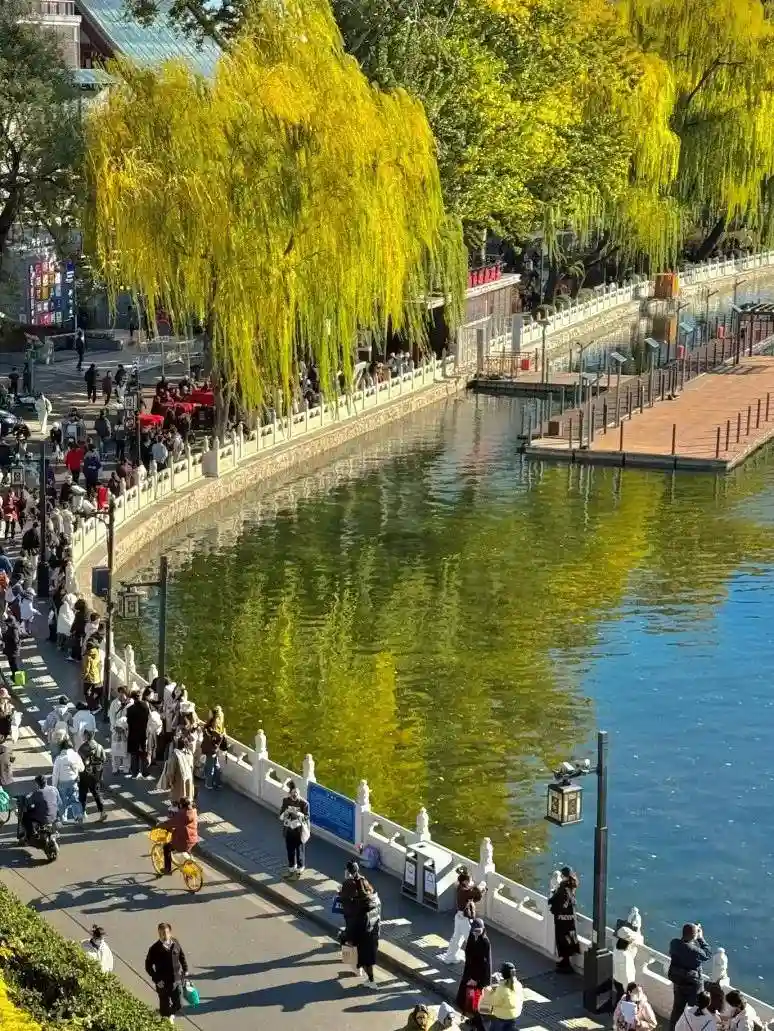 银发族专属懒人旅行爆火！全程管家式服务，吃住游娱全包，零操心躺赢式度假成新宠