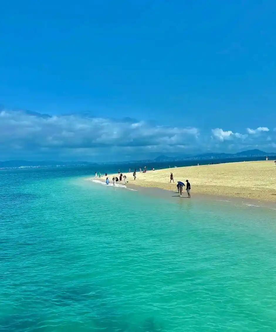 银发族新宠：两种轻松游方式，吃喝玩乐全包揽