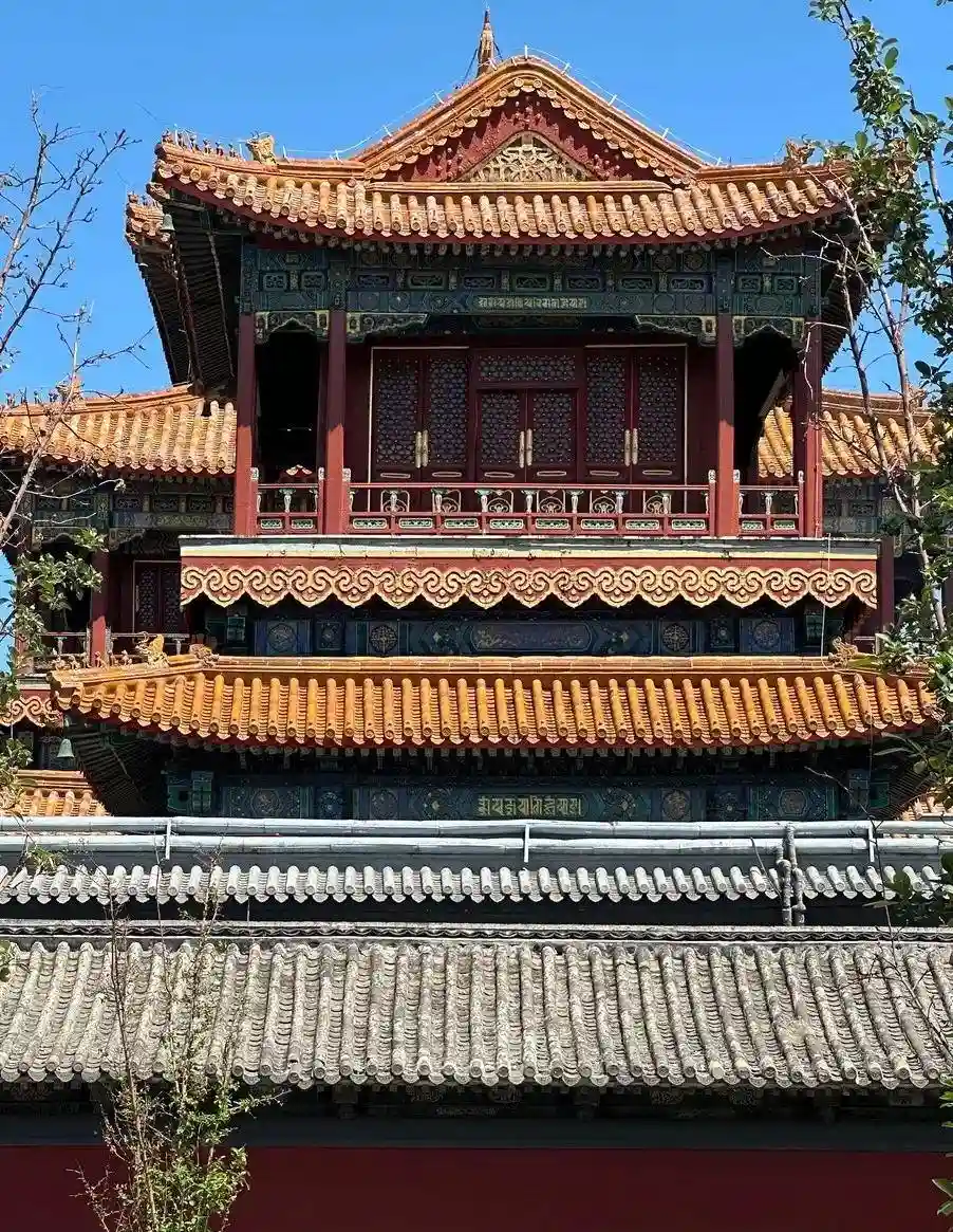 银发族新宠：两种轻松游方式，吃喝玩乐全包揽