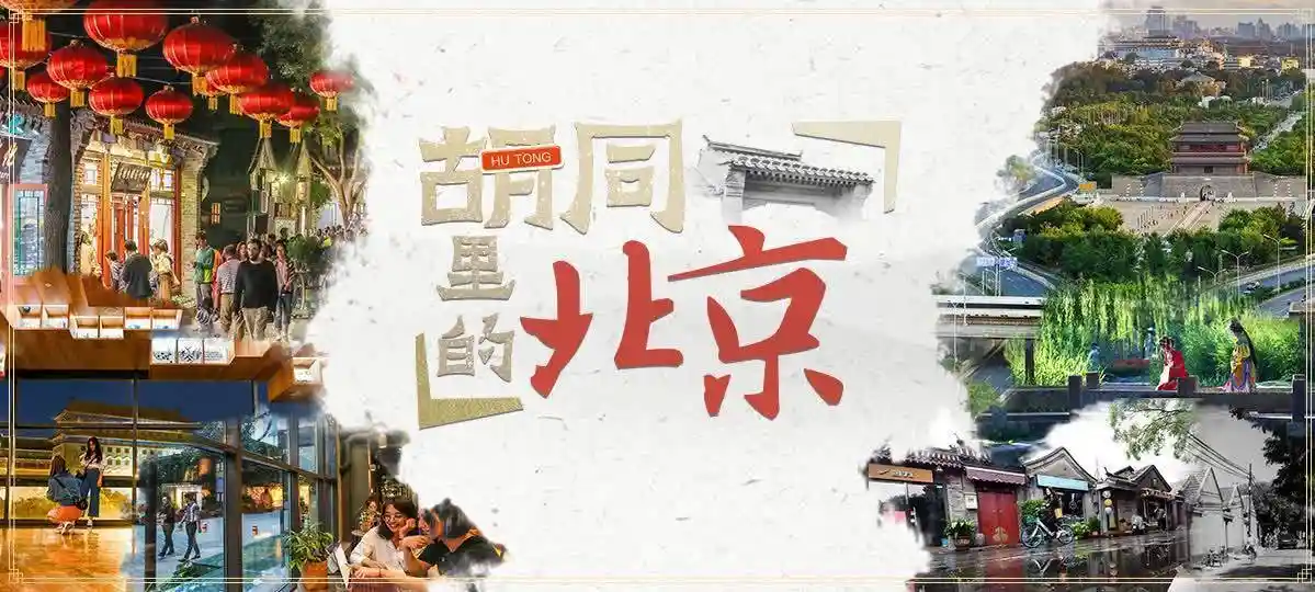 明代思想界顶流张丹墓惊现通州西海子公园！500年前的叛逆哲思，今天依然炸裂